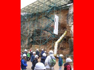 Atapuerca, bus2