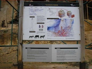 Atapuerca, bus2