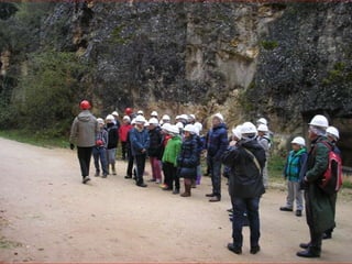 Atapuerca, bus2