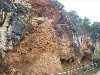 Atapuerca, bus2