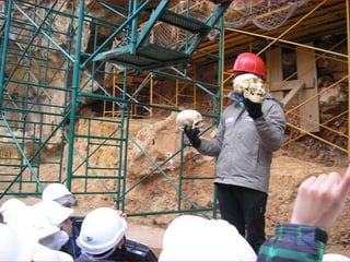 Atapuerca, bus2