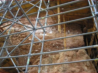 Atapuerca, bus2
