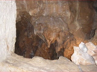 Atapuerca, bus2