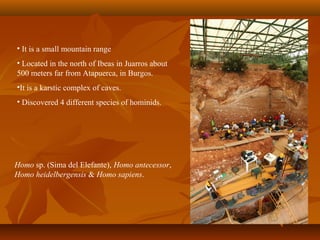 • It is a small mountain range
• Located in the north of Ibeas in Juarros about
500 meters far from Atapuerca, in Burgos.
•It is a karstic complex of caves.
• Discovered 4 different species of hominids.
Homo sp. (Sima del Elefante), Homo antecessor,
Homo heidelbergensis & Homo sapiens.