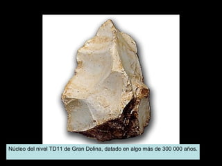 Núcleo del nivel TD11 de Gran Dolina, datado en algo más de 300 000 años.

 