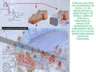1

2

3

COMO EN LOS PANELES ANTERIORES, SE
SITÚA (1) Y SE
ESQUE-MATIZA (2)
GRAN DOLINA Y SE
SEÑALA CÓMO LE
AFECTA LA
TRINCHERA (3).
ABAJO (4) SE
REPRESENTA UN
CAMPAMENTO EN EL
QUE SE VE A LOS HUMANOS REALIZANDO
DISTINTAS
FUNCIONES.

 
