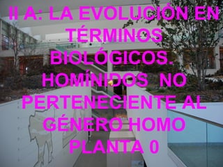 II A: LA EVOLUCIÓN EN
TÉRMINOS
BIOLÓGICOS.
HOMÍNIDOS NO
PERTENECIENTE AL
GÉNERO HOMO
PLANTA 0

 