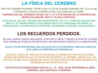 LA FÍSICA DEL CEREBRO
PESO DEL CEREBRO HUMANO: ENTRE EL 0,8 Y EL 2% DE LA MASA CORPORAL (DE 1,3 A 1,6 kg)
Y CONSUME EL 20% DE LA ENERGÍA TOTAL QUE CONSUME EL CUERPO.
TEMPERATURA DEL CEREBRO: ENTRE 0,39º Y 2,5º C POR ENCIMA DE LA TEMPERATURA
MEDIDA EN SANGRE, RECTO, VEJIGA O ESÓFAGO.
NECESITA EL 20% DEL OXÍGENO QUE RESPIRAMOS Y DE ¾ A 1 LITRO DE SANGRE POR
MINUTO. SI TRANSCURREN 10 SEGUNDOS SIN FLUJO SANGUÍNEO SE PIERDE LA
CONSCIENCIA Y SI PASA MÁS DE 6 MINUTOS. COMIENZAN A MORIRSE LAS NEURONAS.

LOS RECUERDOS PERDIDOS.
EN 1953, HENRY GUSTAV MOLAISON, JOVEN DE 27 AÑOS Y DESDE LA EDAD DE 16 AÑOS
CON TERRIBLES ATAQUES EPILÉPTICOS Y SIN RESPUESTA POSITIVA A LA MEDICACIÓN.
CON EL FIN DE ENCONTRAR UNA SOLUCIÓN SE LE EXTIRPARON AMPLIAS ZONAS DE
SUS LÓBULOS TEMPORALES CEREBRALES.
DESDE EL PUNTO DE VISTA DE LA EPILEPSIA, LA OPERACIÓN FUE UN ÉXITO PERO
DESDE ESE MOMENTO NO FUE CAPAZ DE RECORDAR: SU NOMBRE, DÓNDE VIVÍA, EN
QUÉ DÍA ESTABA, QUÉ ACABABA DE HACER. NO ERA CAPAZ DE RETENER NOMBRES DE
PERSONAS NI SUS ROSTROS, ETC…
VIVIÓ EN ESTAS CONDICIONES HASTA EL 2 – 12 – 2008. ASÍ SE DETERMINÓ LA ZONA
CEREBRAL QUE CONTROLA LA MEMORIA.

 