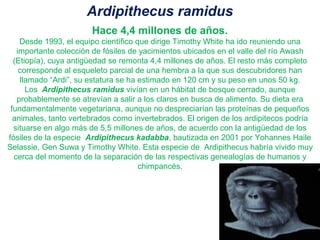 Ardipithecus ramidus
Hace 4,4 millones de años.
Desde 1993, el equipo científico que dirige Timothy White ha ido reuniendo una
importante colección de fósiles de yacimientos ubicados en el valle del río Awash
(Etiopía), cuya antigüedad se remonta 4,4 millones de años. El resto más completo
corresponde al esqueleto parcial de una hembra a la que sus descubridores han
llamado “Ardi”, su estatura se ha estimado en 120 cm y su peso en unos 50 kg.
Los Ardipithecus ramidus vivían en un hábitat de bosque cerrado, aunque
probablemente se atrevían a salir a los claros en busca de alimento. Su dieta era
fundamentalmente vegetariana, aunque no despreciarían las proteínas de pequeños
animales, tanto vertebrados como invertebrados. El origen de los ardipitecos podría
situarse en algo más de 5,5 millones de años, de acuerdo con la antigüedad de los
fósiles de la especie Ardipithecus kadabba, bautizada en 2001 por Yohannes Haile
Selassie, Gen Suwa y Timothy White. Esta especie de Ardipithecus habría vivido muy
cerca del momento de la separación de las respectivas genealogías de humanos y
chimpancés.

 