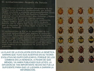 LA CLAVE DE LA EVOLUCIÓN ESTÁ EN LA GENÉTICA.
DARWIN QUE TUVO SUS ACIERTOS EN SU TEORÍA
EVOLUTIVA NO SUPO EXPLICAR EL PORQUÉ DE LOS
CAMBIOS EN LA HERENCIA, A PESAR DE QUE
MÉNDEL YA HABÍA PUBLICADO SUS LEYES, LA
DIFUSIÓN DE TAN IMPORTANTE HECHO NO FUE LA
SUFICIENTE PARA QUE LE LLEGARA A DARWIN LA
INFORMACIÓN.

 
