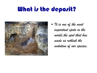 What is the deposit?
● It is one of the most
important spots in the
world,the spot that has
made us rethink the
evolution of our species.
 