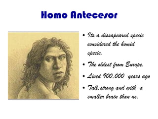 Homo Antecesor
● Its a dissapeared specie
considered the homid
specie.
● The oldest from Europe.
● Lived 900,000 years ago
● Tall,strong and with a
smaller brain than us.
 
