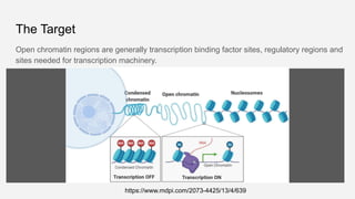 ATAQ sequencing details expt, applications | PPTX