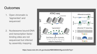 ATAQ sequencing details expt, applications | PPTX