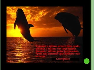 Garantir a nossa independência financeira relativamente a interesses políticos ou comerciais;Procurar soluções e promover uma discussão aberta e informada sobre as escolhas ambientais da sociedade.No desenvolvimento das nossas estratégias de campanha e políticas, temos o maior cuidado em reflectir o nosso respeito fundamental pelos princípios democráticos e em procurar soluções que promovam a equidade social global.