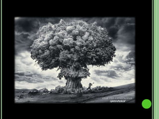 VitóriasAs vitórias principais da Greenpeace começaram desde 1972 até 2008 atingindo mais de 75 vitórias.  Uma das maiores vitórias conseguidas foi:Em 2008 celebrou-se  o 10º aniversário do protocolo de Madrid sobre o Oceano Antárctico, uma importante vitória na protecção do meio ambiente. A Greenpeace trabalhou nesta questão durante mais de 15 anos e conseguiu anular a decisão de permitir a exploração mineira no último continente virgem do planeta. 