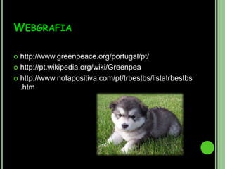 ConclusãoNós, neste trabalho, concluímos que o Meio Ambiente é um bem precioso que é bastante atacado pelo ser humano e para o bem de todos devemos protegê-lo. Felizmente, existem organizações que se encarregam de ajudar o ambiente. Temos o exemplo da Greenpeace, uma organização internacional que obteve muitas vitórias ao salvar o Meio Ambiente. 