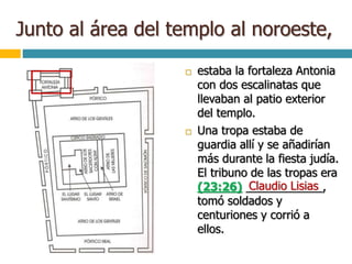 Junto al área del templo al noroeste,
 estaba la fortaleza Antonia
con dos escalinatas que
llevaban al patio exterior
del templo.
 Una tropa estaba de
guardia allí y se añadirían
más durante la fiesta judía.
El tribuno de las tropas era
(23:26) ____________,
tomó soldados y
centuriones y corrió a
ellos.
Claudio Lisias
 