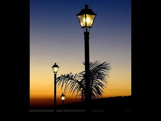 Atardeceres de Tenerife, Majed Khalil