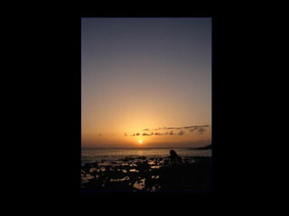 Atardeceres de Tenerife, Majed Khalil