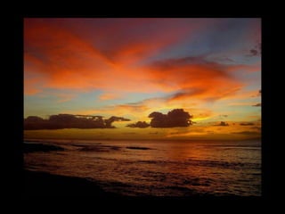 Atardeceres de Tenerife, Majed Khalil
