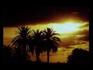 Atardeceres de Tenerife, Majed Khalil