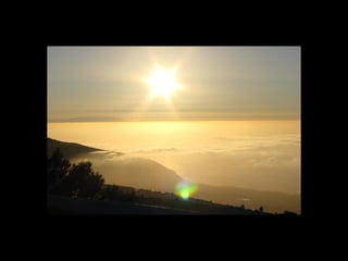 Atardeceres de Tenerife, Majed Khalil