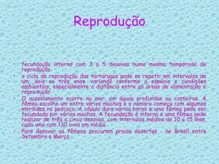 Reprodução fecundação interna com 3 a 5 desovas numa mesma temporada de reprodução.  o ciclo de reprodução das tartarugas pode se repetir em intervalos de um, dois ou três anos, variando conforme a espécie e condições ambientais, especialmente a distância entre as áreas de alimentação e reprodução  O acasalamento ocorre no mar, em águas profundas ou costeiras. A fêmea escolhe um entre vários machos e o namoro começa com algumas mordidas no pescoço. A cópula dura várias horas e uma fêmea pode ser fecundada por vários machos. A fecundação é interna e uma fêmea pode realizar de três a cinco desovas, com intervalos médios de 10 a 15 dias, cada uma com 130 ovos em média.  Para desovar as fêmeas procuram praias desertas - no Brasil entre Setembro e Março  