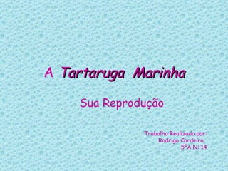 A  Tartaruga  Marinha Sua Reprodução Trabalho Realizado por: Rodrigo Cordeiro  5ºA N: 14 