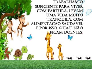 TRABALHAM O
SUFICIENTE PARA VIVER
COM FARTURA, LEVAM
UMA VIDA MUITO
TRANQUILA, COM
ALIMENTAÇÃO SAÚDAVEL
E POR ISSO QUASE NÃO
FICAM DOENTES.
 