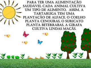 PARA TER UMA ALIMENTAÇÃO
SAUDÁVEL CADA ANIMAL CULTIVA
UM TIPO DE ALIMENTO. ASSIM, A
TARTARUGA TEM UMA
PLANTAÇÃO DE ALFACE, O COELHO
PLANTA CENOURAS, O SURICATO
PLANTA BETERRABAS, A GIRAFA
CULTIVA LINDAS MAÇÃS.
 
