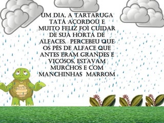 UM DIA, A TARTARUGA
TATÁ ACORDOU E
MUITO FELIZ FOI CUIDAR
DE SUA HORTA DE
ALFACES. PERCEBEU QUE
OS PÉS DE ALFACE QUE
ANTES ERAM GRANDES E
VIÇOSOS, ESTAVAM
MURCHOS E COM
MANCHINHAS MARROM
 