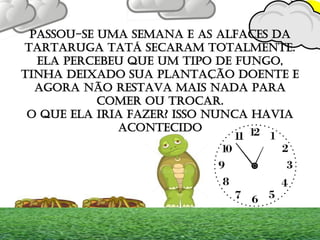 PASSOU-SE UMA SEMANA E AS ALFACES DA
TARTARUGA TATÁ SECARAM TOTALMENTE.
ELA PERCEBEU QUE UM TIPO DE FUNGO,
TINHA DEIXADO SUA PLANTAÇÃO DOENTE E
AGORA NÃO RESTAVA MAIS NADA PARA
COMER OU TROCAR.
O QUE ELA IRIA FAZER? ISSO NUNCA HAVIA
ACONTECIDO
 