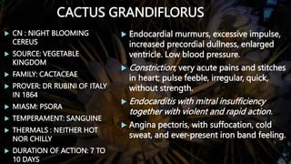 THERAPEUTICS OF CARDIAC DISEASES.BHMS.MATERIA MEDICA.HOMOEOPATHY | PPTX
