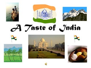 A Taste of India

 
