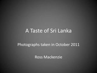 A Taste of Sri Lanka

Photographs taken in October 2011

         Ross Mackenzie
 