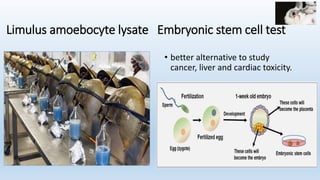 Limulus amoebocyte lysate Embryonic stem cell test
• better alternative to study
cancer, liver and cardiac toxicity.
 