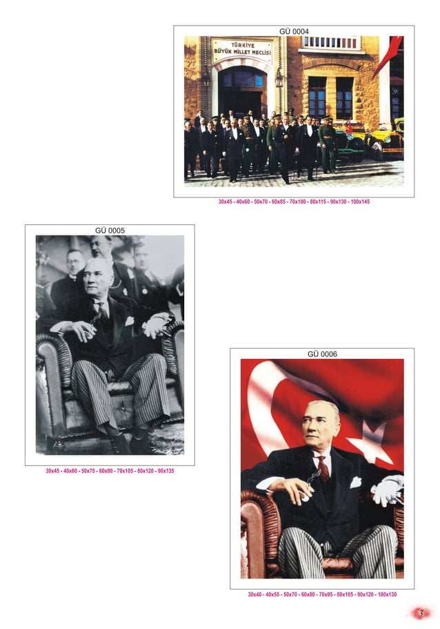 Mustafa Kemal Atatürk visual data 4