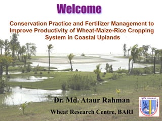 Conservation Practice and Fertilizer Management to
Improve Productivity of Wheat-Maize-Rice Cropping
System in Coastal Uplands
Dr. Md. Ataur Rahman
Wheat Research Centre, BARI
 