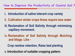 Conservation Practice and Fertilizer Management to Improve Productivity of Wheat-Maize-Rice Cropping System in Coastal Uplands
