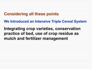 Conservation Practice and Fertilizer Management to Improve Productivity of Wheat-Maize-Rice Cropping System in Coastal Uplands