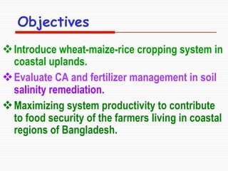 Conservation Practice and Fertilizer Management to Improve Productivity of Wheat-Maize-Rice Cropping System in Coastal Uplands