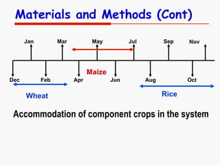 Mulch level
(Rice Straw)
RLD
(cm/cm3)
NUE
(Agronomic)
Grain
yield (t/ha)
Control 0.48 b 24.7 b 3.48 b
2.0 t/ha 0.57 ab 27....