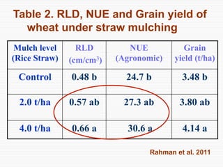 Conservation Practice and Fertilizer Management to Improve Productivity of Wheat-Maize-Rice Cropping System in Coastal Uplands