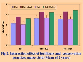 Conservation Practice and Fertilizer Management to Improve Productivity of Wheat-Maize-Rice Cropping System in Coastal Uplands
