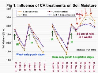 Conservation Practice and Fertilizer Management to Improve Productivity of Wheat-Maize-Rice Cropping System in Coastal Uplands