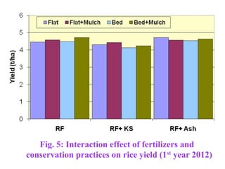 Conservation Practice and Fertilizer Management to Improve Productivity of Wheat-Maize-Rice Cropping System in Coastal Uplands