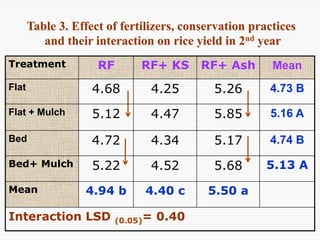 Conservation Practice and Fertilizer Management to Improve Productivity of Wheat-Maize-Rice Cropping System in Coastal Uplands