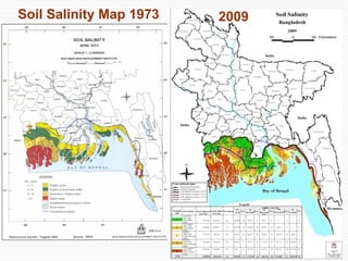 Conservation Practice and Fertilizer Management to Improve Productivity of Wheat-Maize-Rice Cropping System in Coastal Uplands