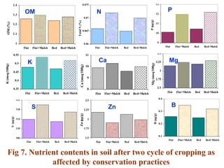 Conservation Practice and Fertilizer Management to Improve Productivity of Wheat-Maize-Rice Cropping System in Coastal Uplands